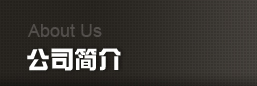 公司简介